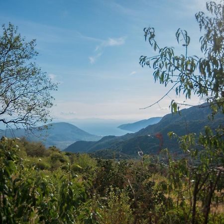 Cottage Hill Agios Ilias  Esterno foto